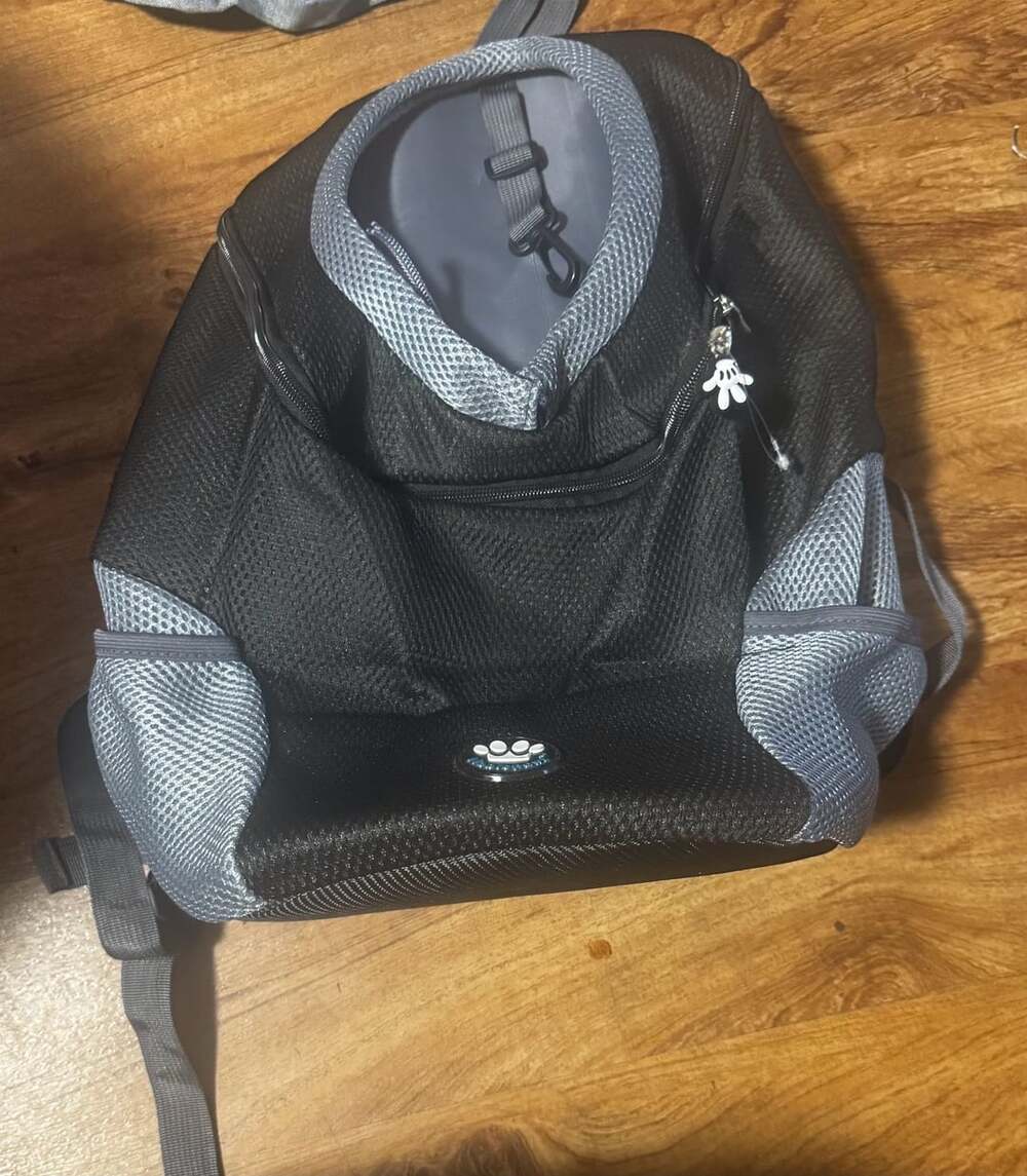 Petyfy Black and Gray Small Dog Cat Pet Carrier Backpack